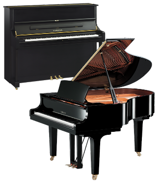 Multiple new and used Pianos for sale