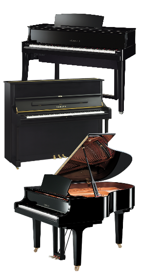 Multiple new and used Pianos for sale