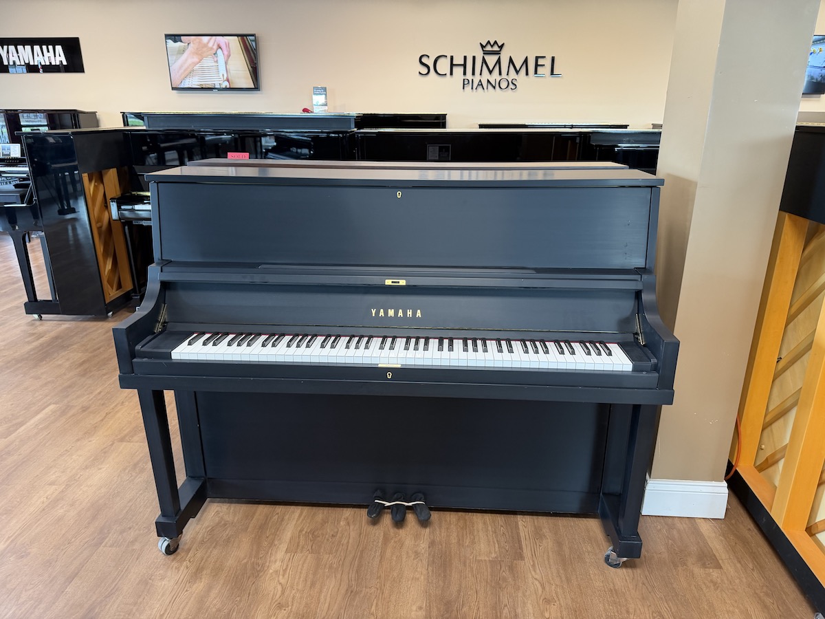 Yamaha P22