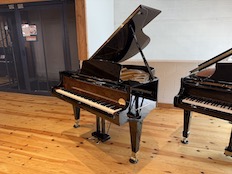 Bösendorfer 175