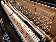 Brodmann 126-I