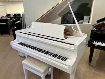 Essex EGP-155