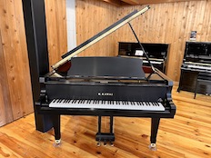 Kawai GX-3