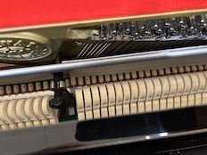 Kawai K15EP