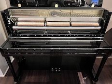 Kawai K300