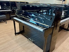 Schimmel C120
