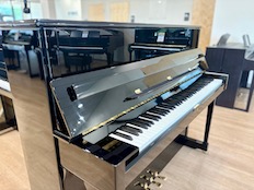 Schimmel C120