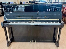 Schimmel C120