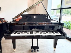 Schimmel C189