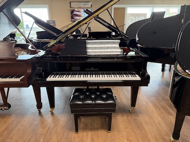schimmel gp169