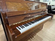 Schulze Pollman 113E Moderno