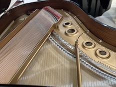 Steinway L