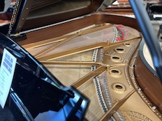 Steinway B