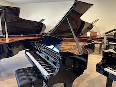 Steinway B