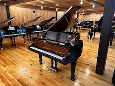 Steinway B