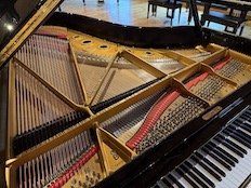 Steinway B
