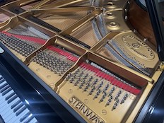 Steinway Hamburg B