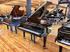 Steinway Hamburg B