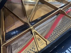 Steinway Hamburg B