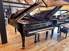 Steinway Hamburg B