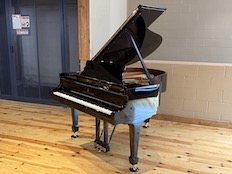 Steinway M