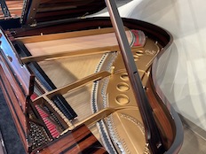 Steinway M