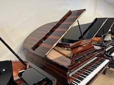 Steinway M