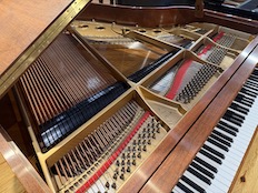 Steinway S