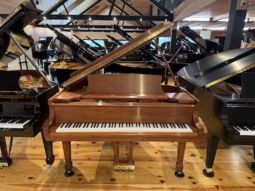 steinway S