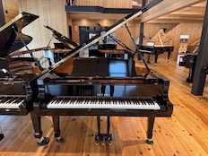 Yamaha C6