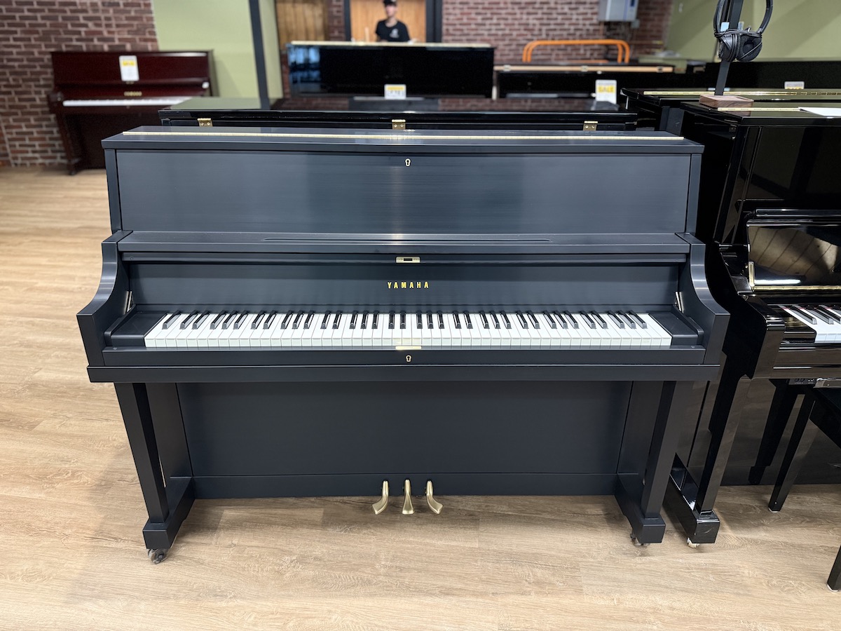Yamaha P2
