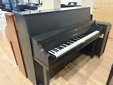 Yamaha P22