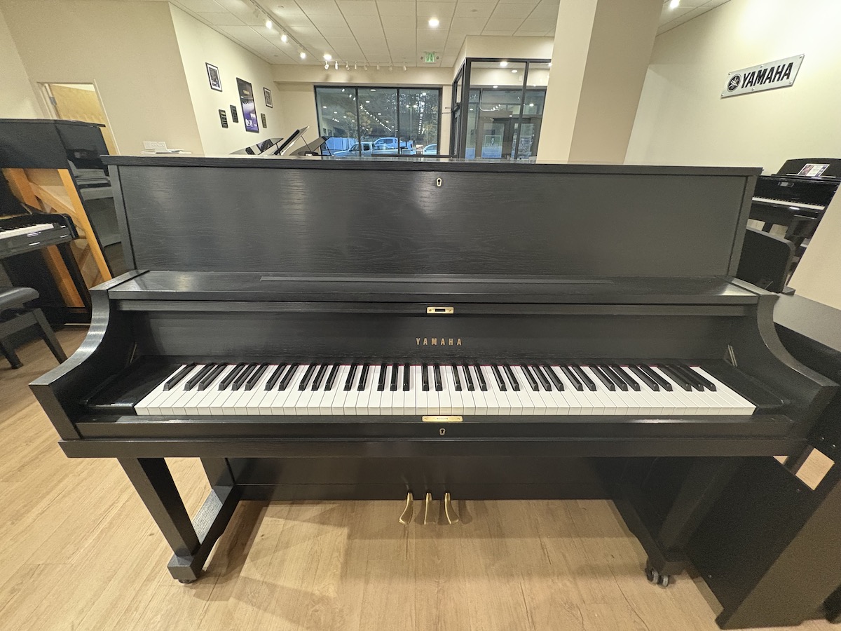 Yamaha P22