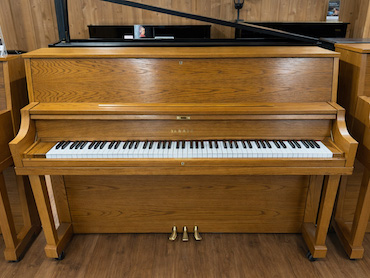 yamaha P22