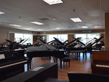 Springfield MA Address Phone Numnber