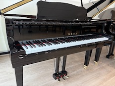 Yamaha GB1K