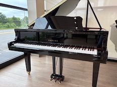 Yamaha GB1K