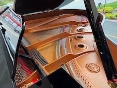 Yamaha GC1M