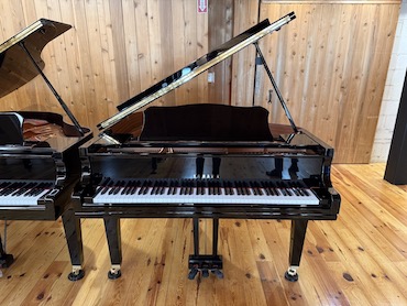 yamaha gc1m