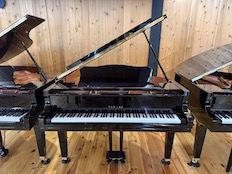Yamaha GC2