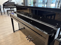 Yamaha NU1X