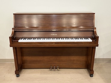 yamaha p22