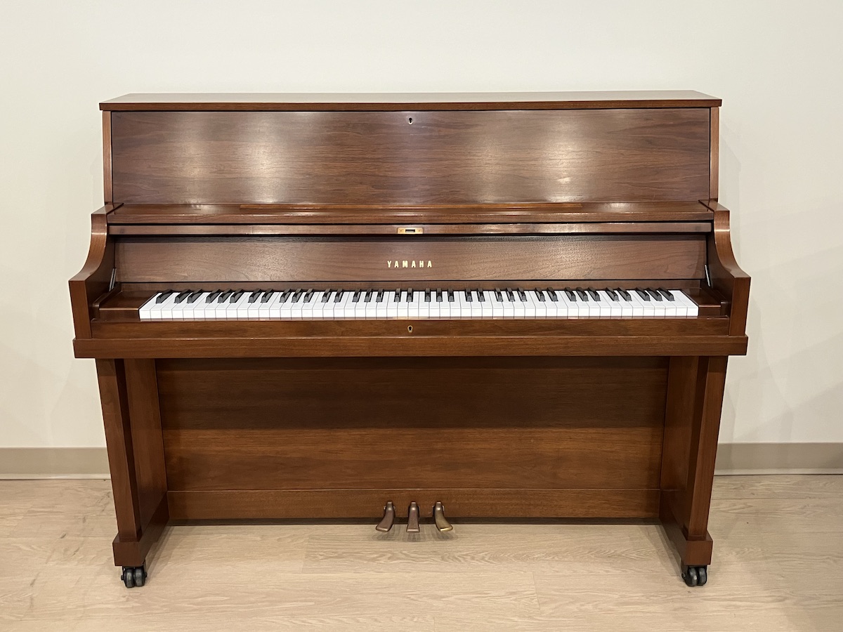 Yamaha P22