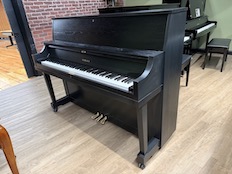 Yamaha P22