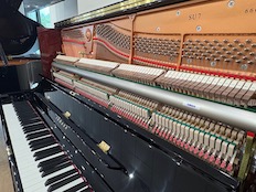 Yamaha SU7