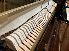 Yamaha U3