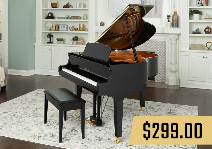 Yamaha GB1K picture