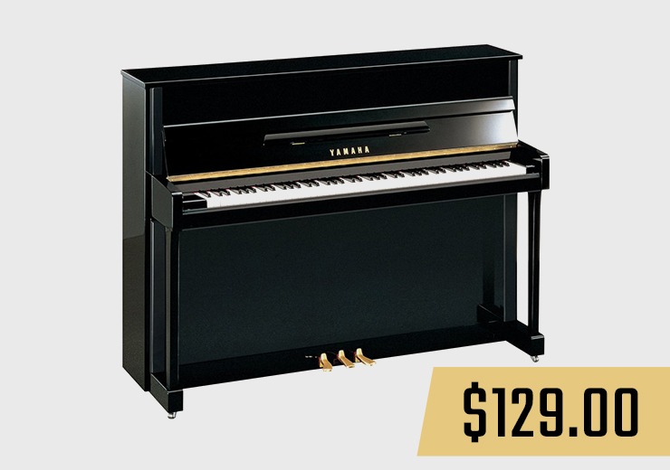 yamaha b2 picture