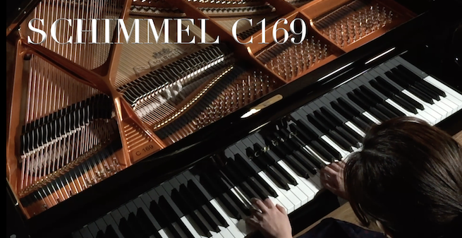 PIANO QUEUE SCHIMMEL C 213 TRADITION - Scotto Musique