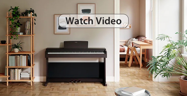 ydp_146 piano video